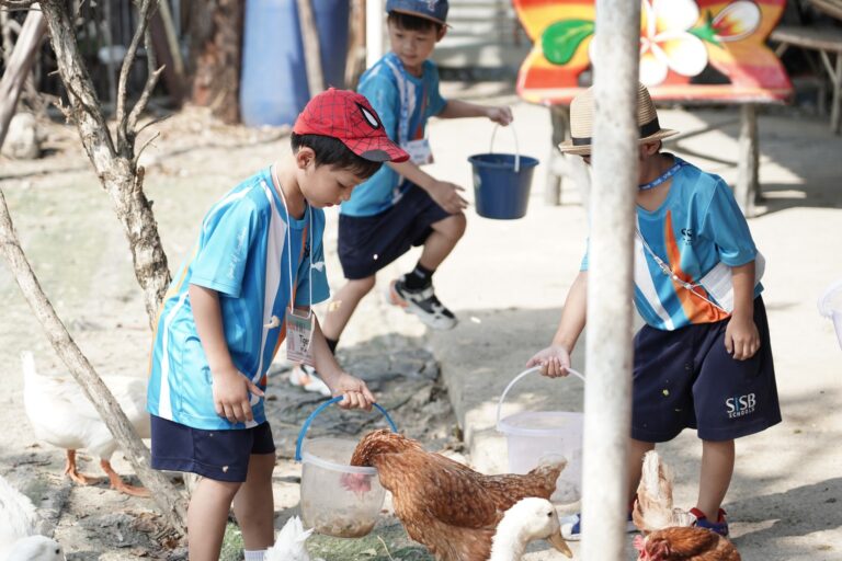 333457826 859379265135259 6566377287914145887 n