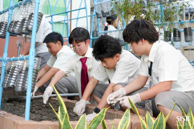 2025 02 13,14 Growing Green P5 & P6 Students Set Up Herb Gardens