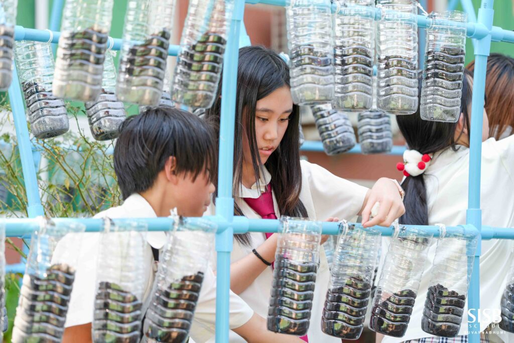 2025 02 13,14 Growing Green P5 & P6 Students Set Up Herb Gardens