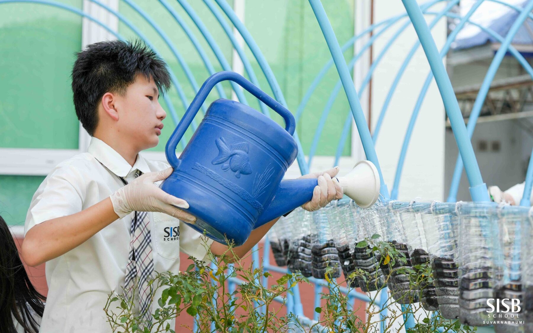 2025 02 13,14 Growing Green P5 & P6 Students Set Up Herb Gardens!