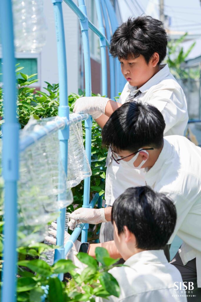 2025 02 13,14 Growing Green P5 & P6 Students Set Up Herb Gardens!