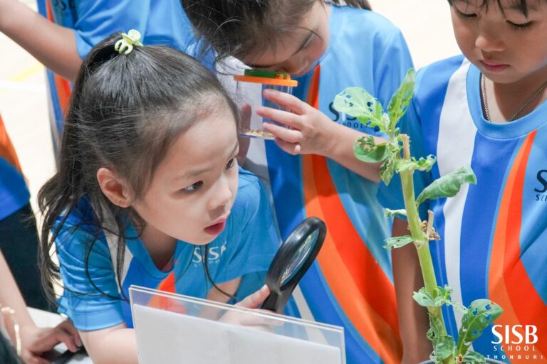 486351492 1251999933595639 7287148781238588815 n