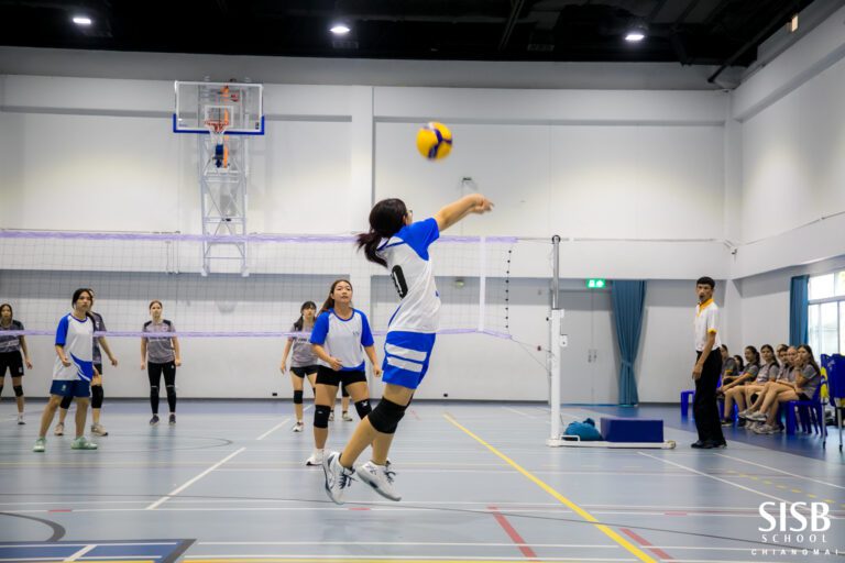 485396874 1058913499587667 968143348687490835 n