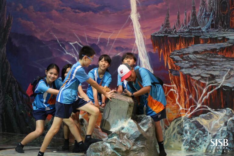 487823346 655680197318226 3266046293981959757 n