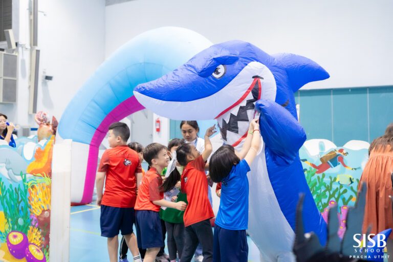 494408549 1088612623303839 480372717396556878 n