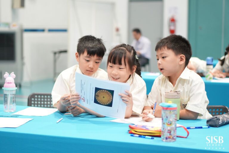 497400645 689355373950708 7978213966685866724 n