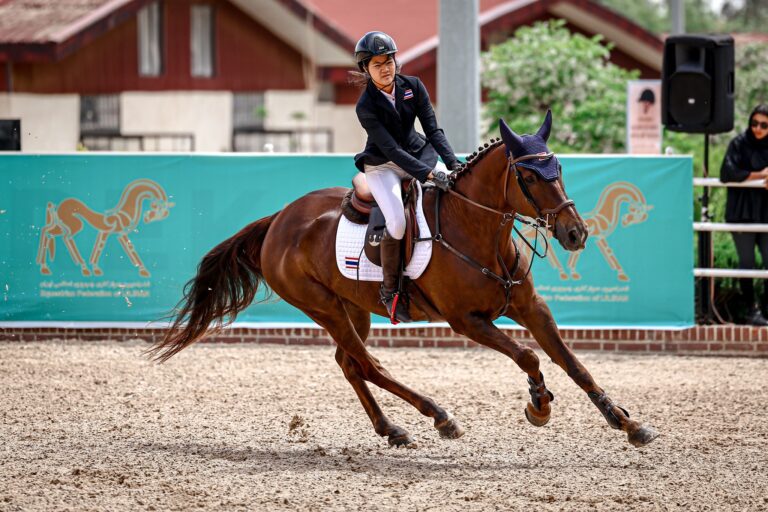 501531259 1110524451112656 199702845283947811 n