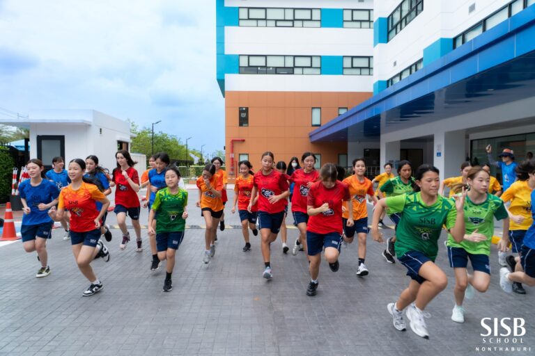 547513225 787268270725812 8605833480989105908 n