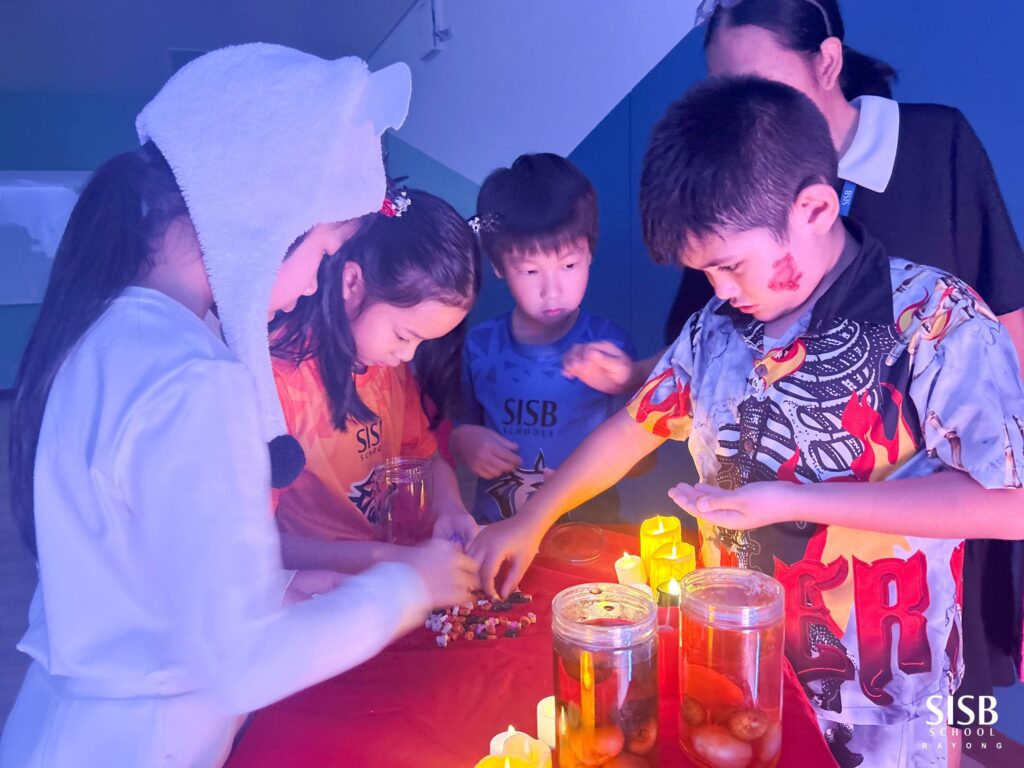 573543328 824101617142749 5358980651552024926 n