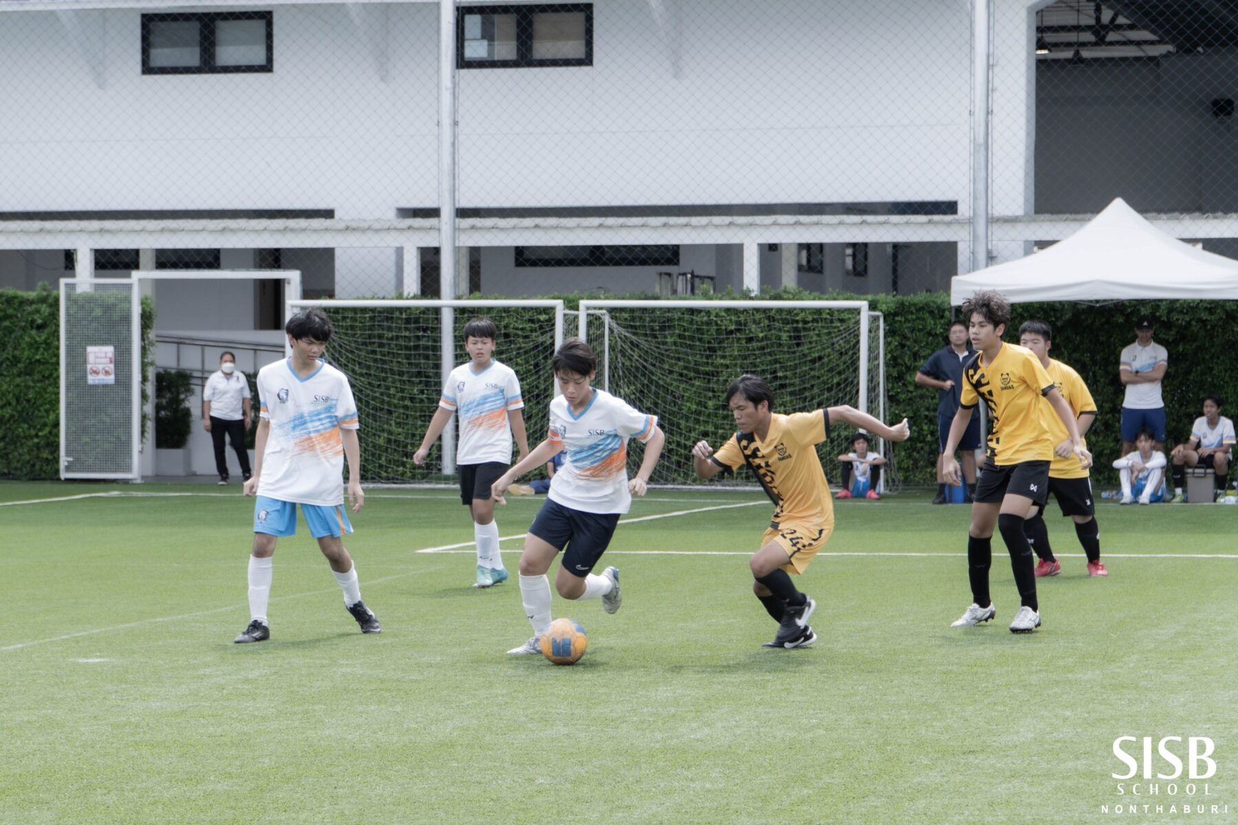 579859114 837794302339875 7163240538344144014 n