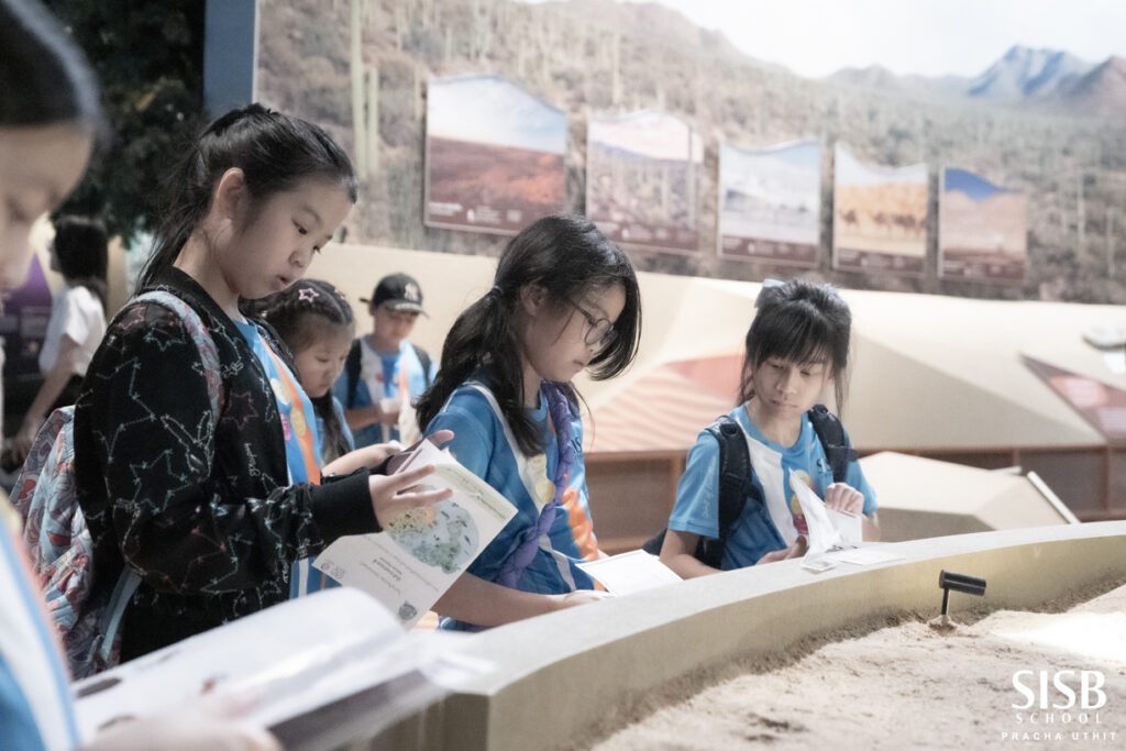 580642399 1247678000730633 9119590237400690238 n