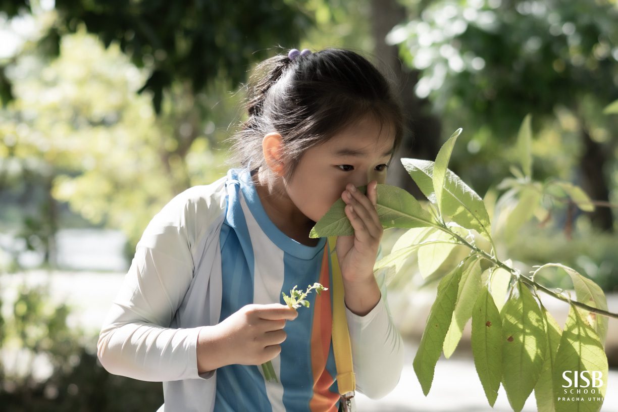 590595963 1262359372595829 4951834524713669570 n