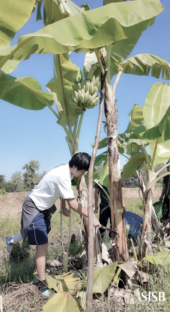 595199943 1271650114980670 8322561941710220586 n