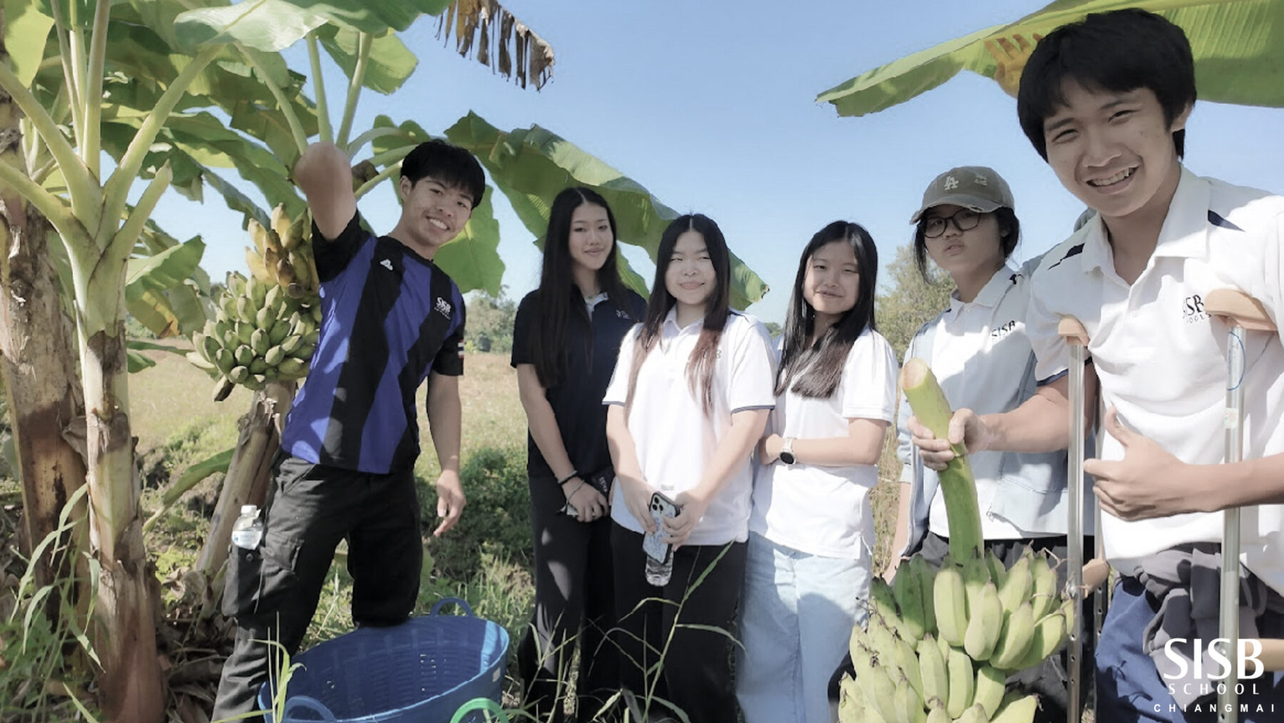 595377937 1271649941647354 8699107606082764680 n