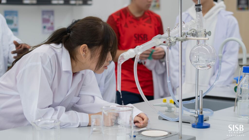 618501286 893919310060707 6408455570976430677 n