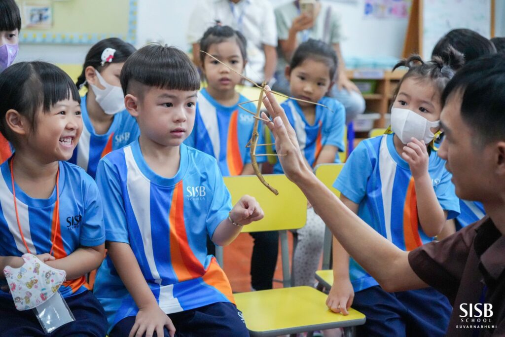 641049155 1333636215449971 8277339347992480466 n