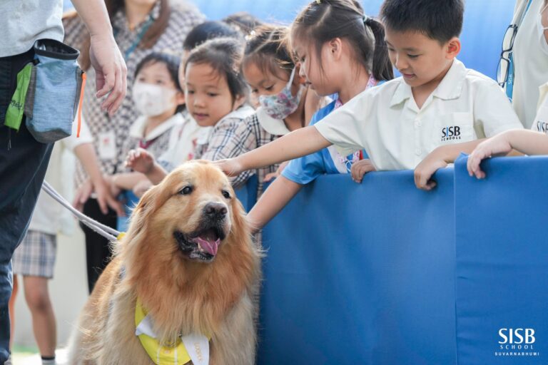 642797899 1333635565450036 3851268203544647435 n